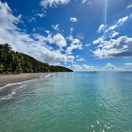 Le Gaspardo , 2 Chambres Climatisees , A 2 Mins A Pied De La Plage , Wifi , Jardin Clos, Parking ,Sans Vis-A-Vis Le Carbet Luaran gambar